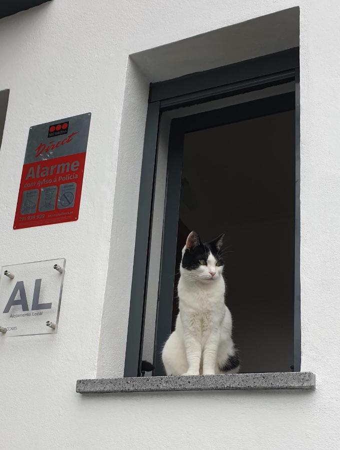 Ferienwohnung Caminhos Nos Levam Pela Ilha Ponta Delgada Exterior foto