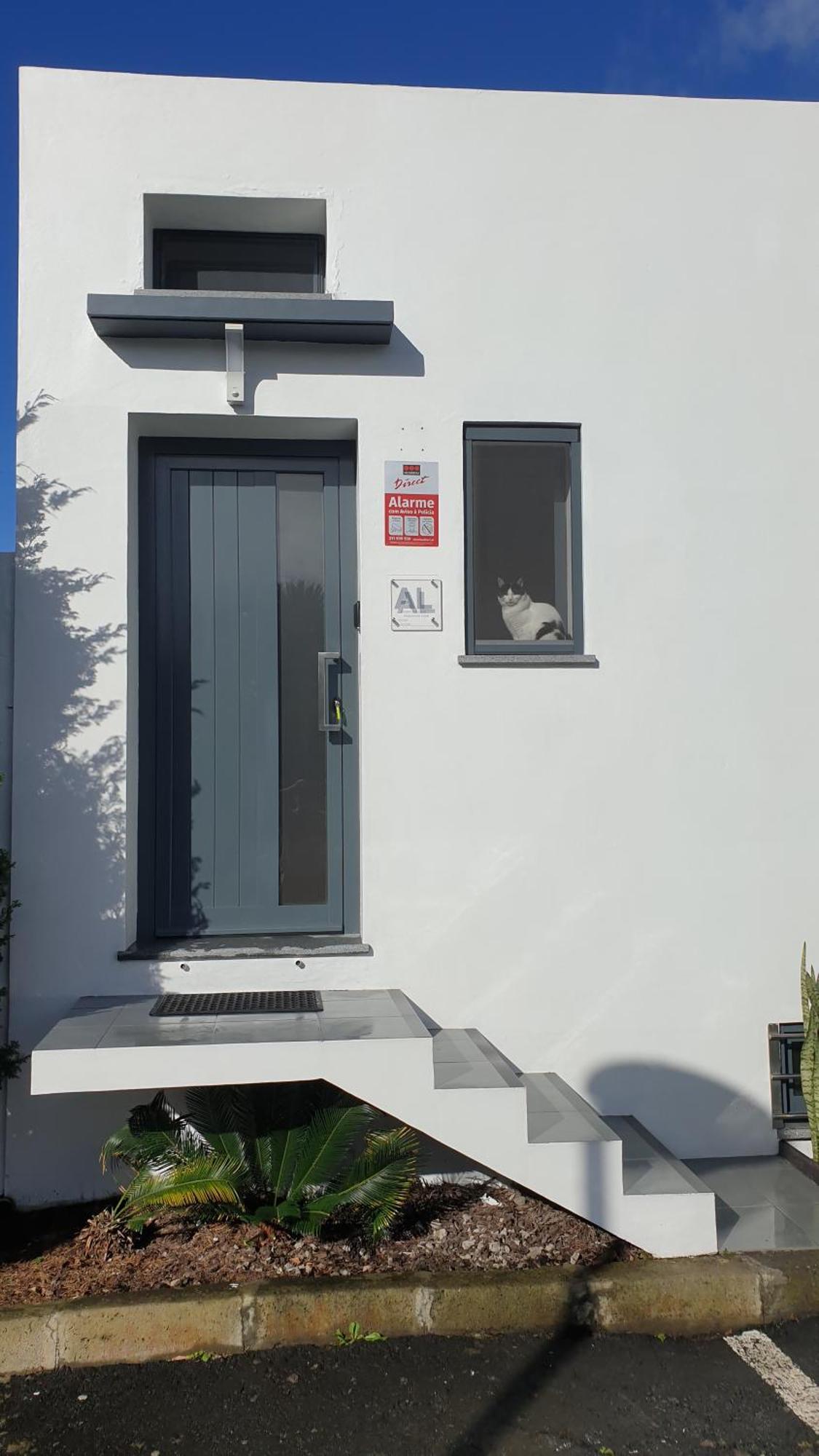 Ferienwohnung Caminhos Nos Levam Pela Ilha Ponta Delgada Exterior foto