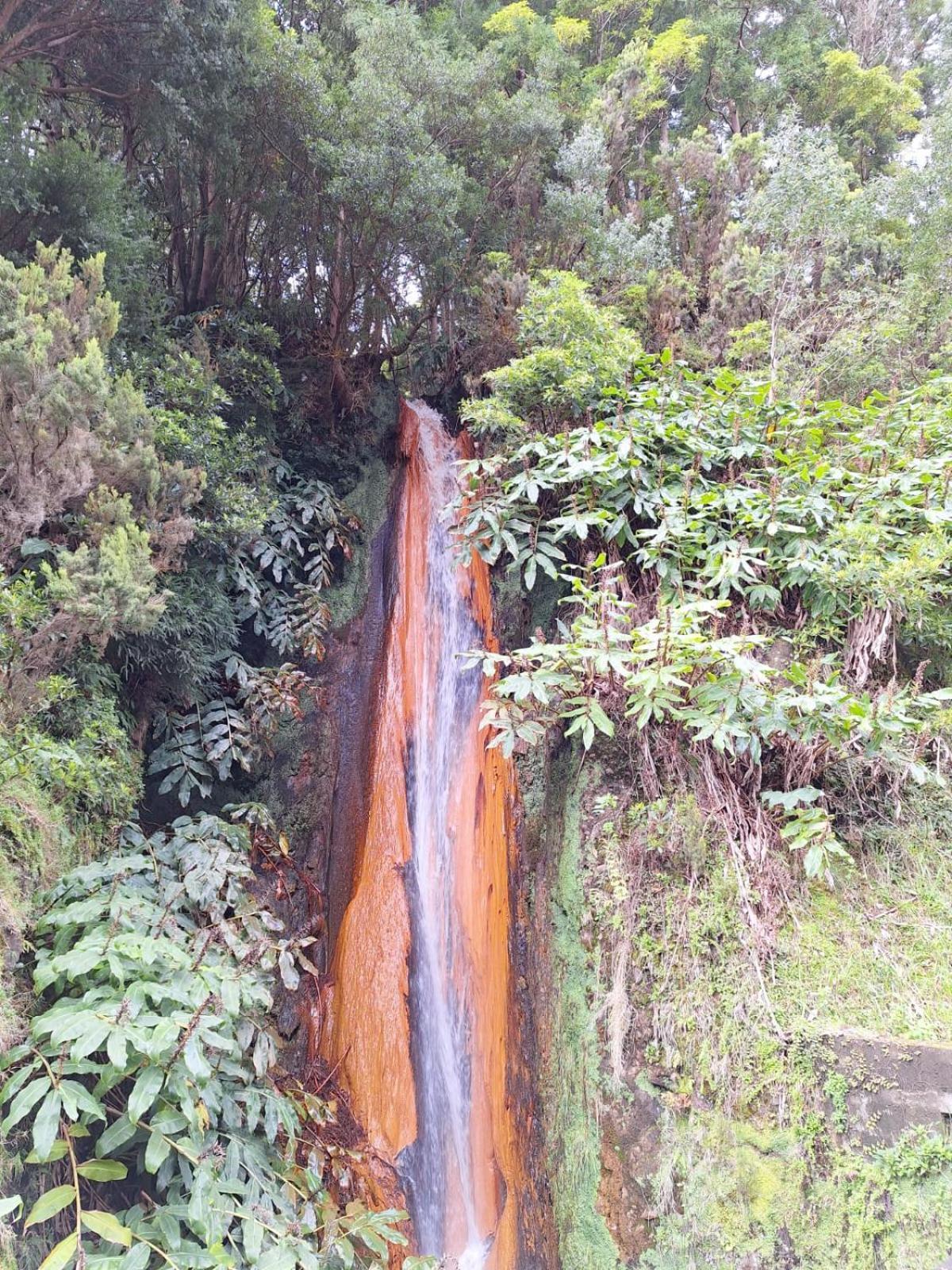 Ferienwohnung Caminhos Nos Levam Pela Ilha Ponta Delgada Exterior foto